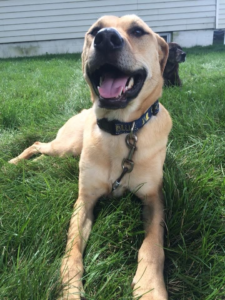 Mya laying in the grass with a big happy smile.